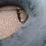 Kings Tire Binnenband 16x6.50-8 Haaks ventiel