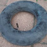 Kings Tire Binnenband 3.50/4.00-6 haaks ventiel ook voor strandzeiler (Blokart)
